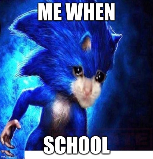 sonic crying | ME WHEN; SCHOOL | image tagged in sonic crying | made w/ Imgflip meme maker
