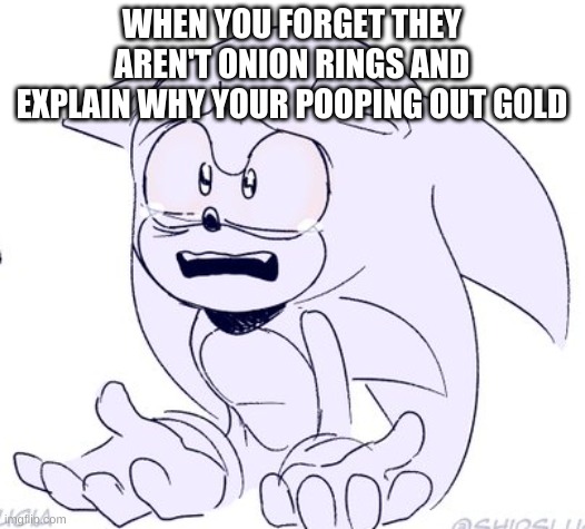 sonic cry | WHEN YOU FORGET THEY AREN'T ONION RINGS AND EXPLAIN WHY YOUR POOPING OUT GOLD | image tagged in sonic cry | made w/ Imgflip meme maker