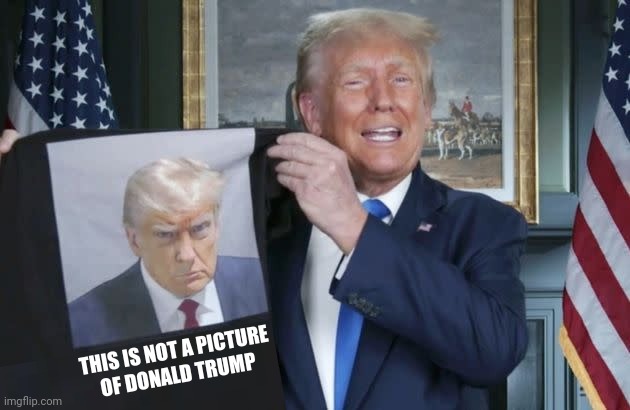 trump's final strategy. | THIS IS NOT A PICTURE
OF DONALD TRUMP | image tagged in 4 surrenders equal 0 surrenders,surgical lying,every day is opposite day in trumptown,telling maga what they want to hear | made w/ Imgflip meme maker