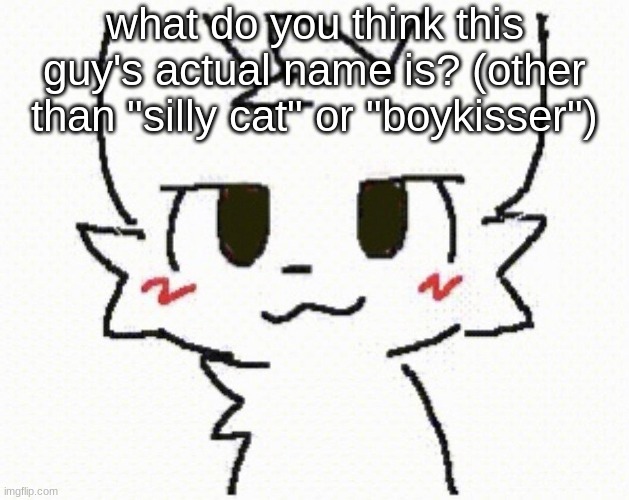 Jax is what I'm picking | what do you think this guy's actual name is? (other than "silly cat" or "boykisser") | image tagged in you like kissing boys | made w/ Imgflip meme maker