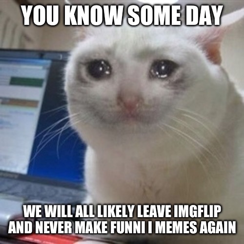 Some day. And we will never know | YOU KNOW SOME DAY; WE WILL ALL LIKELY LEAVE IMGFLIP AND NEVER MAKE FUNNI I MEMES AGAIN | image tagged in crying cat,memes,sad,left | made w/ Imgflip meme maker