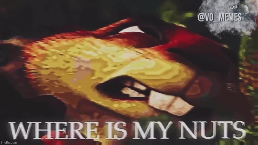 Where is my nuts.mp3 | made w/ Imgflip meme maker