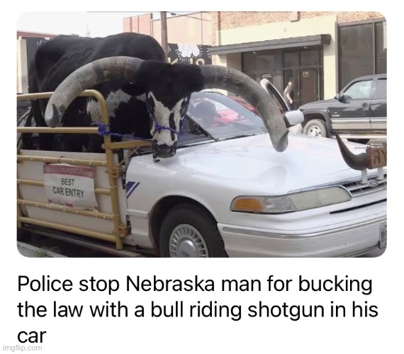 Only in Nebraska | image tagged in funny,nebraska | made w/ Imgflip meme maker