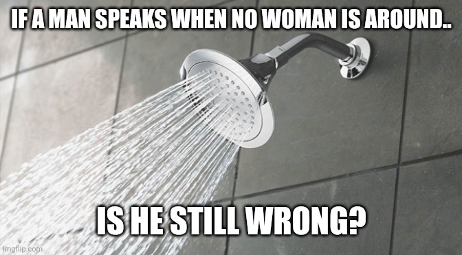 Shower Thoughts | IF A MAN SPEAKS WHEN NO WOMAN IS AROUND.. IS HE STILL WRONG? | image tagged in shower thoughts | made w/ Imgflip meme maker