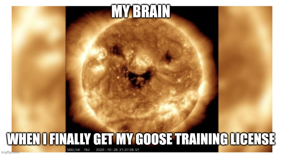 Training geese is a dangerous profession | MY BRAIN; WHEN I FINALLY GET MY GOOSE TRAINING LICENSE | image tagged in jack-o-lantern sun | made w/ Imgflip meme maker