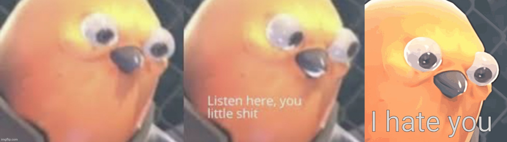 Listen here you little shit I hate you | I hate you | image tagged in listen here you little shit bird | made w/ Imgflip meme maker
