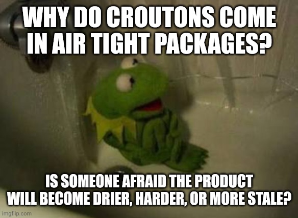 Kermit Shower | WHY DO CROUTONS COME IN AIR TIGHT PACKAGES? IS SOMEONE AFRAID THE PRODUCT WILL BECOME DRIER, HARDER, OR MORE STALE? | image tagged in kermit shower | made w/ Imgflip meme maker