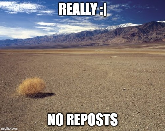 desert tumbleweed | REALLY :| NO REPOSTS | image tagged in desert tumbleweed | made w/ Imgflip meme maker