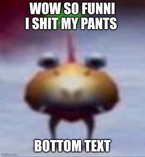 WOW SO FUNNI I SHIT MY PANTS; BOTTOM TEXT | made w/ Imgflip meme maker