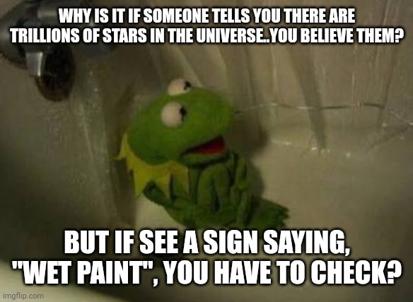 Kermit Shower | WHY IS IT IF SOMEONE TELLS YOU THERE ARE TRILLIONS OF STARS IN THE UNIVERSE..YOU BELIEVE THEM? BUT IF SEE A SIGN SAYING, "WET PAINT", YOU HAVE TO CHECK? | image tagged in kermit shower | made w/ Imgflip meme maker