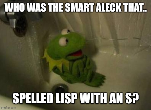 Kermit Shower | WHO WAS THE SMART ALECK THAT.. SPELLED LISP WITH AN S? | image tagged in kermit shower | made w/ Imgflip meme maker