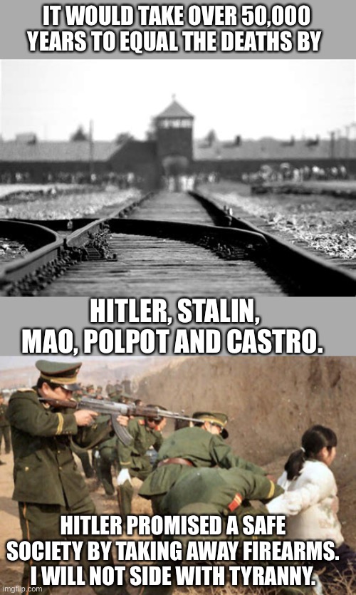 IT WOULD TAKE OVER 50,000 YEARS TO EQUAL THE DEATHS BY HITLER, STALIN, MAO, POLPOT AND CASTRO. HITLER PROMISED A SAFE SOCIETY BY TAKING AWAY | image tagged in holocaust,communist execution | made w/ Imgflip meme maker