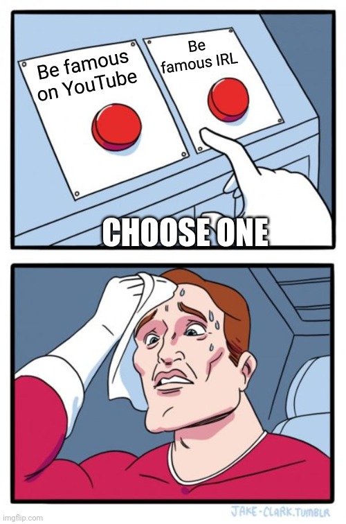 Choose one... | Be famous IRL; Be famous on YouTube; CHOOSE ONE | image tagged in memes,two buttons | made w/ Imgflip meme maker