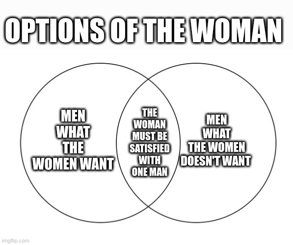 be satisfied with | OPTIONS OF THE WOMAN; MEN WHAT THE WOMEN DOESN'T WANT; MEN WHAT THE WOMEN WANT; THE WOMAN MUST BE SATISFIED WITH ONE MAN | image tagged in venn diagram | made w/ Imgflip meme maker
