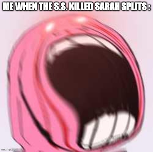 Day 3, Curse You Anti-Fandom S.S. | ME WHEN THE S.S. KILLED SARAH SPLITS : | image tagged in me when | made w/ Imgflip meme maker