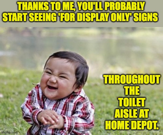Evil | THANKS TO ME, YOU'LL PROBABLY START SEEING 'FOR DISPLAY ONLY' SIGNS; THROUGHOUT THE TOILET AISLE AT HOME DEPOT. | image tagged in memes,evil toddler | made w/ Imgflip meme maker