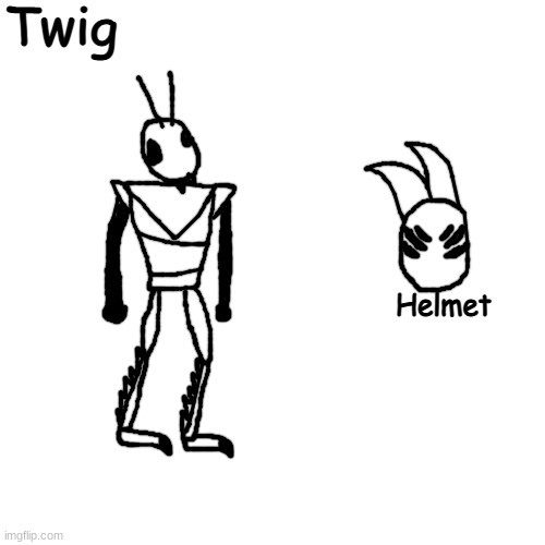 locust | Twig; Helmet | made w/ Imgflip meme maker