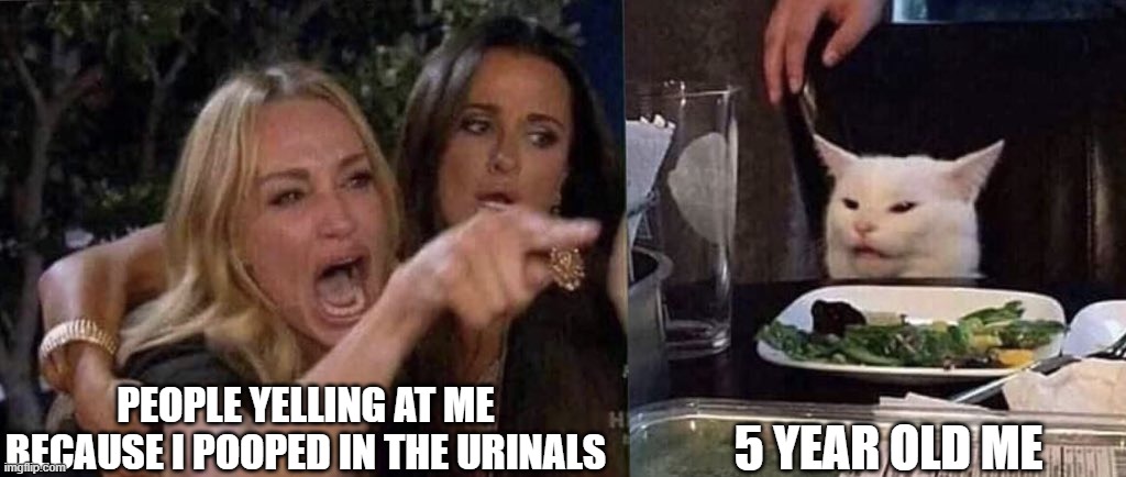 woman yelling at cat | PEOPLE YELLING AT ME BECAUSE I POOPED IN THE URINALS; 5 YEAR OLD ME | image tagged in woman yelling at cat | made w/ Imgflip meme maker