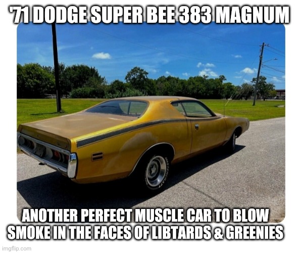 All Original 4 speed to Frighten Snowflakes | '71 DODGE SUPER BEE 383 MAGNUM; ANOTHER PERFECT MUSCLE CAR TO BLOW SMOKE IN THE FACES OF LIBTARDS & GREENIES | image tagged in awesome,dodge,scariest things in the world,libtards | made w/ Imgflip meme maker