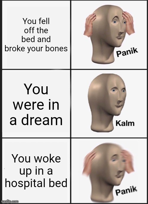 Kinda logical | You fell off the bed and broke your bones; You were in a dream; You woke up in a hospital bed | image tagged in memes,panik kalm panik | made w/ Imgflip meme maker