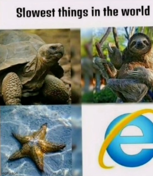 image tagged in memes | made w/ Imgflip meme maker