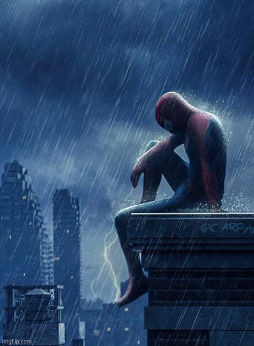 Sad Spiderman | image tagged in sad spiderman | made w/ Imgflip meme maker