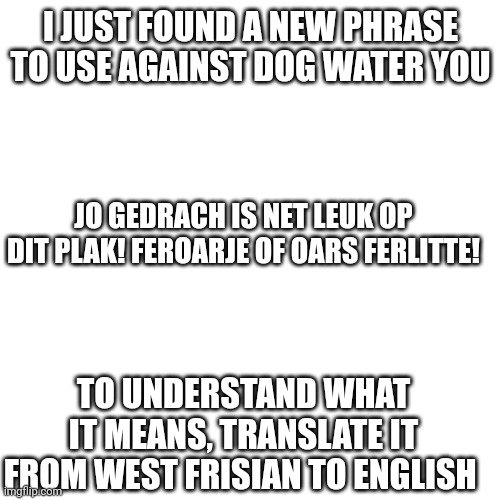 True | I JUST FOUND A NEW PHRASE TO USE AGAINST DOG WATER YOU; JO GEDRACH IS NET LEUK OP DIT PLAK! FEROARJE OF OARS FERLITTE! TO UNDERSTAND WHAT IT MEANS, TRANSLATE IT FROM WEST FRISIAN TO ENGLISH | image tagged in memes | made w/ Imgflip meme maker