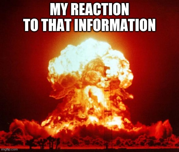 Nuke | MY REACTION TO THAT INFORMATION | image tagged in nuke | made w/ Imgflip meme maker