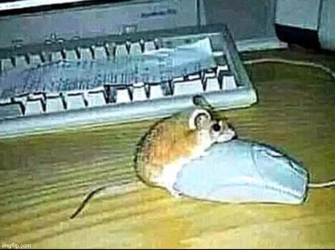 what is he doing | made w/ Imgflip meme maker