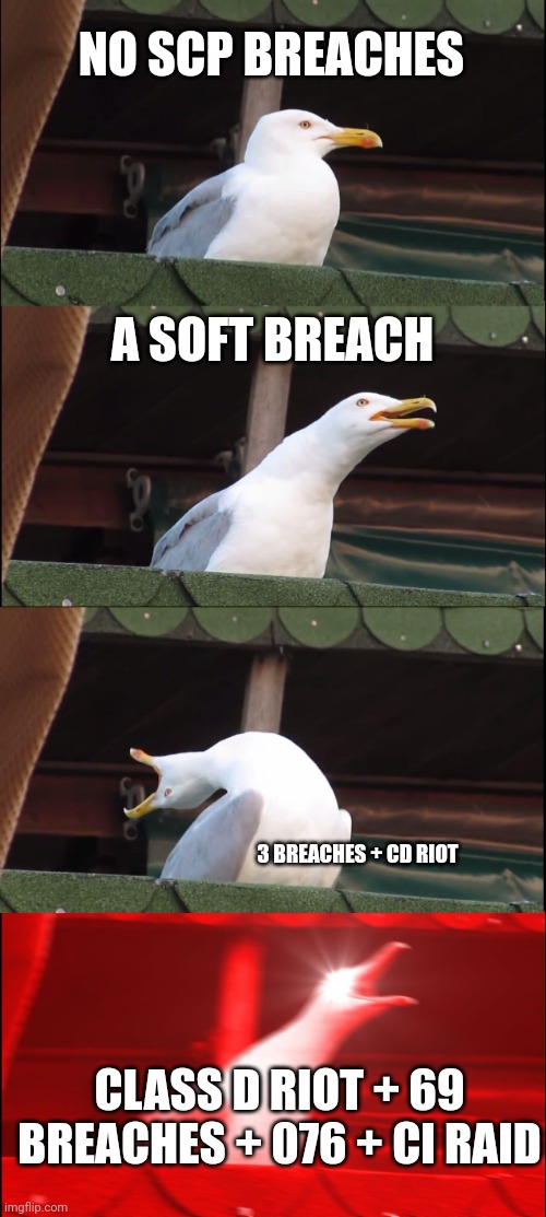 Scp foundation holidays be like | NO SCP BREACHES; A SOFT BREACH; 3 BREACHES + CD RIOT; CLASS D RIOT + 69 BREACHES + 076 + CI RAID | image tagged in memes,inhaling seagull | made w/ Imgflip meme maker