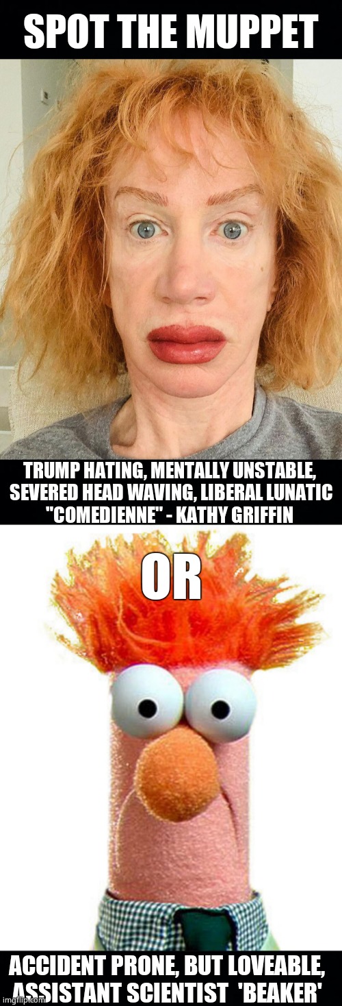 Spot the Muppet | SPOT THE MUPPET; TRUMP HATING, MENTALLY UNSTABLE, 
SEVERED HEAD WAVING, LIBERAL LUNATIC
"COMEDIENNE" - KATHY GRIFFIN; OR; ACCIDENT PRONE, BUT LOVEABLE, 
ASSISTANT SCIENTIST  'BEAKER' | image tagged in memes,kathy griffin,donald trump,liberals,beaker,political meme | made w/ Imgflip meme maker