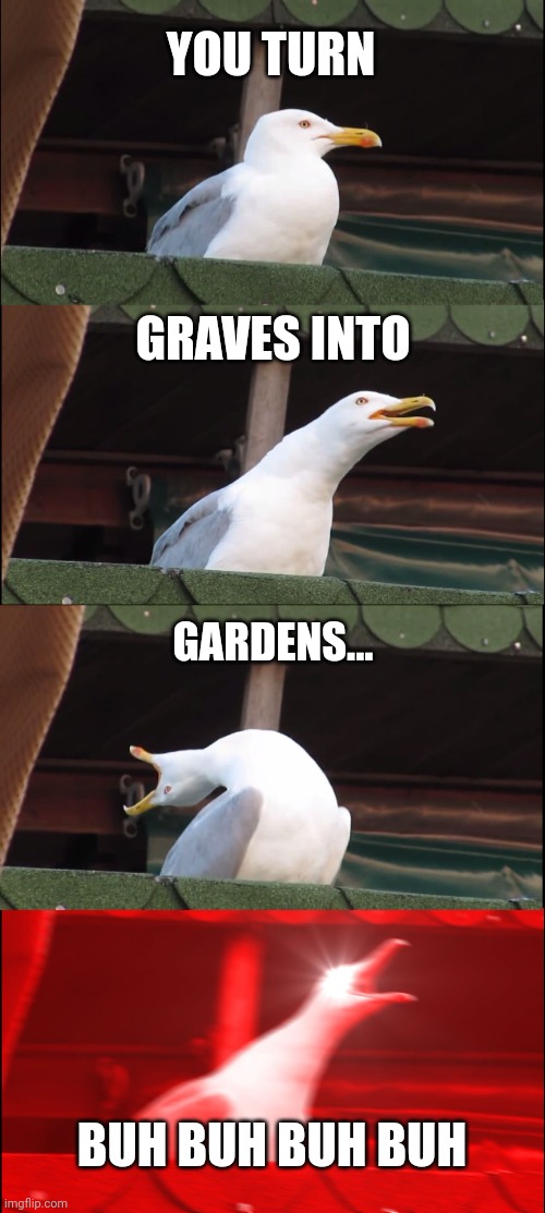 Inhaling Seagull Meme | YOU TURN GRAVES INTO GARDENS... BUH BUH BUH BUH | image tagged in memes,inhaling seagull | made w/ Imgflip meme maker