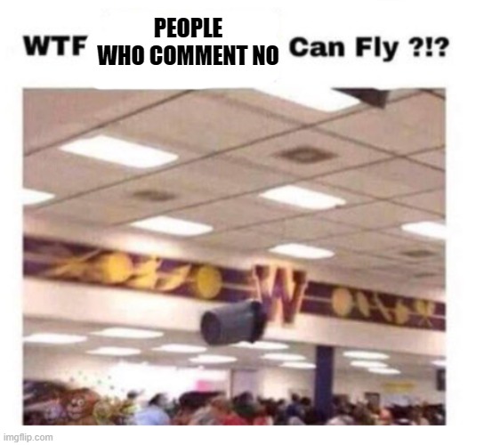 I Found a Rodent That Is Way Worse Than Flies. | PEOPLE WHO COMMENT NO | image tagged in wtf --------- can fly | made w/ Imgflip meme maker