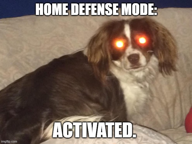 Zombie Dawg | HOME DEFENSE MODE:; ACTIVATED. | image tagged in dogs,dog,zombies,security,home | made w/ Imgflip meme maker