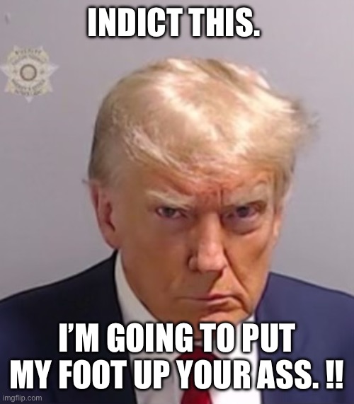 Donald Trump Mugshot | INDICT THIS. I’M GOING TO PUT MY FOOT UP YOUR ASS. !! | image tagged in donald trump mugshot | made w/ Imgflip meme maker