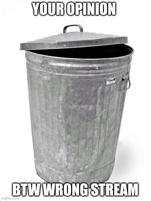 Trash Can | YOUR OPINION BTW WRONG STREAM | image tagged in trash can | made w/ Imgflip meme maker