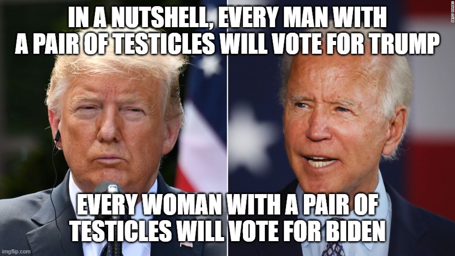 IN A NUTSHELL, EVERY MAN WITH A PAIR OF TESTICLES WILL VOTE FOR TRUMP; EVERY WOMAN WITH A PAIR OF TESTICLES WILL VOTE FOR BIDEN | made w/ Imgflip meme maker