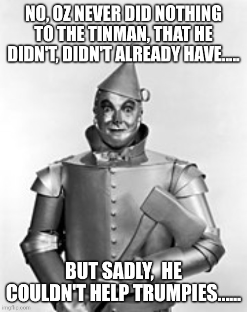 Trumpies are beyond help | NO, OZ NEVER DID NOTHING TO THE TINMAN, THAT HE DIDN'T, DIDN'T ALREADY HAVE..... BUT SADLY,  HE COULDN'T HELP TRUMPIES...... | image tagged in tin man,wizard of oz,trump supporters | made w/ Imgflip meme maker