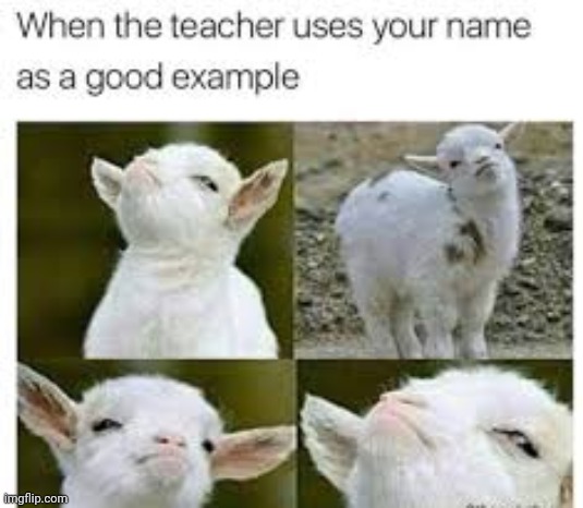 Lol | image tagged in stay blobby | made w/ Imgflip meme maker