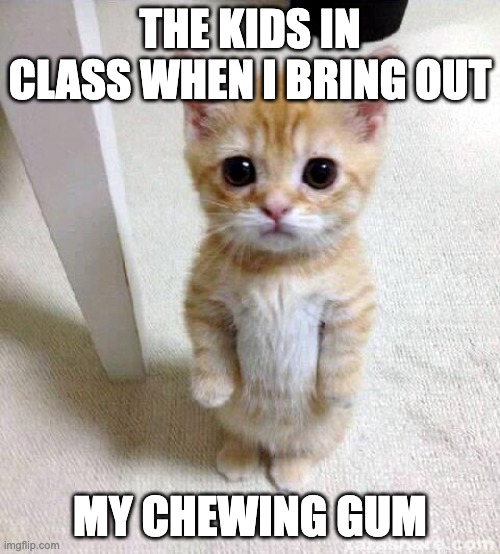 Begging Cat | THE KIDS IN CLASS WHEN I BRING OUT; MY CHEWING GUM | image tagged in memes,cute cat,funny,relatable,relatable memes,middle school | made w/ Imgflip meme maker