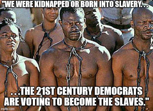 slavery | "WE WERE KIDNAPPED OR BORN INTO SLAVERY. . . . . .THE 21ST CENTURY DEMOCRATS ARE VOTING TO BECOME THE SLAVES." | image tagged in slavery | made w/ Imgflip meme maker