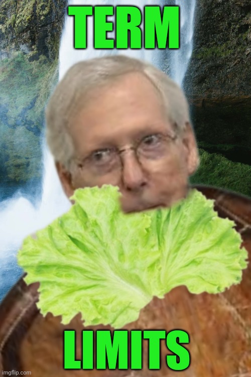 Mitch McConnell | TERM; LIMITS | image tagged in mitch mcconnell,turtle,term limits | made w/ Imgflip meme maker