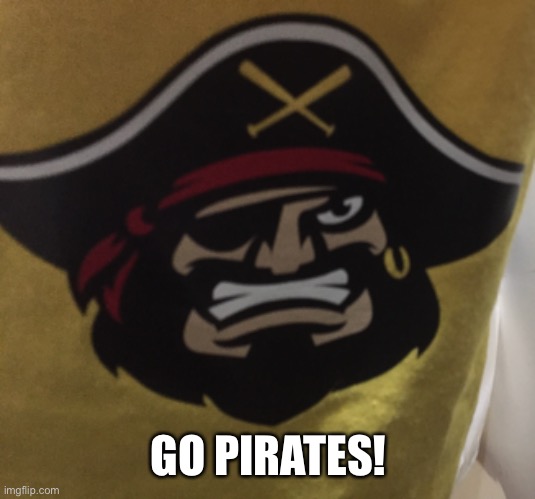 Spam go pirates in the comments! | GO PIRATES! | image tagged in baseball,tball,memes | made w/ Imgflip meme maker