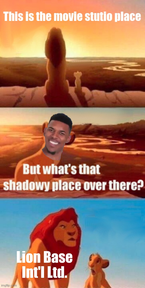Simba Shadowy Place Meme | This is the movie stutio place; Lion Base Int'l Ltd. | image tagged in memes,simba shadowy place,the lion king | made w/ Imgflip meme maker