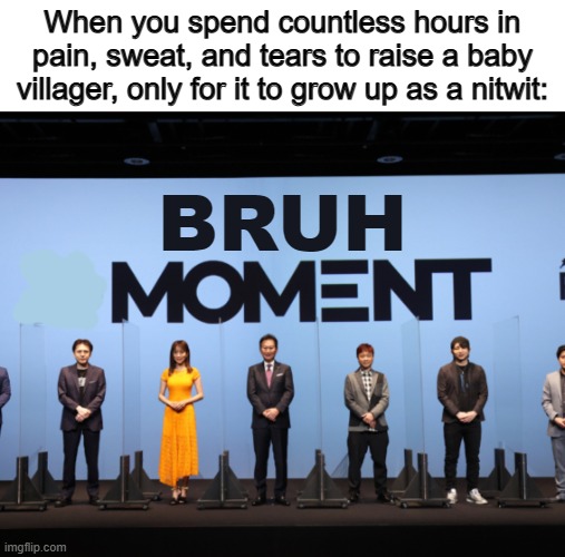 I wish nitwits never existed ;-; | When you spend countless hours in pain, sweat, and tears to raise a baby villager, only for it to grow up as a nitwit:; BRUH | image tagged in x moment | made w/ Imgflip meme maker