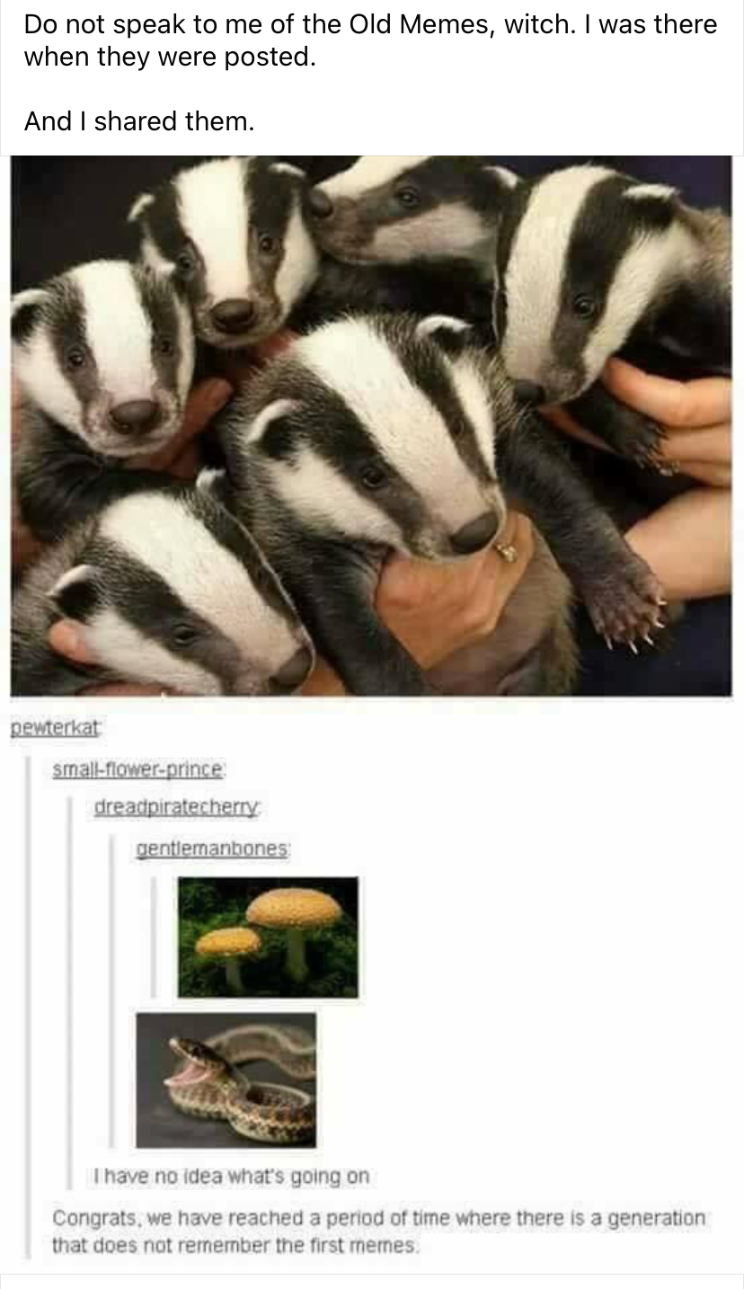 Badger mushroom snake Blank Meme Template