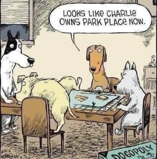 Marking That Territory | image tagged in lol,dogs,marking territory,monopoly,imgflip humor,repost | made w/ Imgflip meme maker
