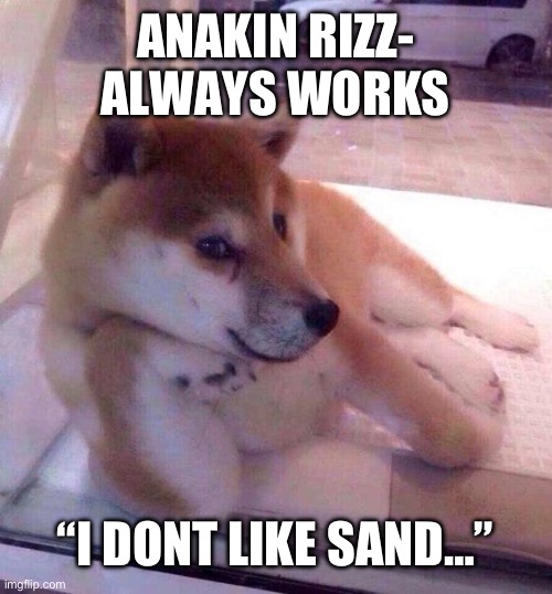 Flirting Doge | ANAKIN RIZZ- ALWAYS WORKS; “I DONT LIKE SAND…” | image tagged in flirting doge | made w/ Imgflip meme maker