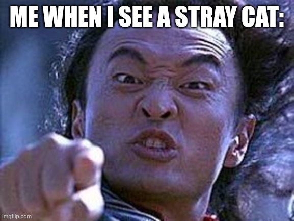 Meme | ME WHEN I SEE A STRAY CAT: | image tagged in your soul is mine | made w/ Imgflip meme maker