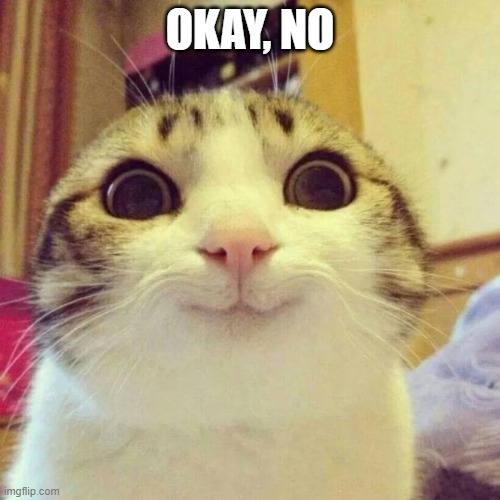 Smiling Cat | OKAY, NO | image tagged in memes,smiling cat | made w/ Imgflip meme maker
